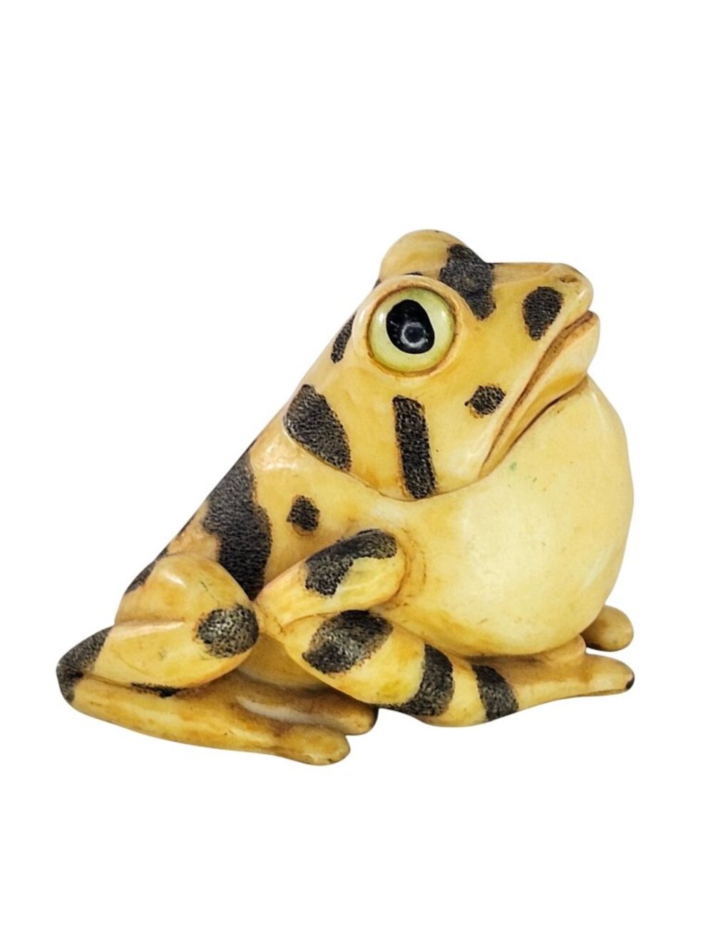 Harmony Kingdom Pot Bellys Ribbet Frog Trinket Box Figurine 2003 Retired Resin